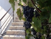 �������� � ����. - ���������� ������������, ������� ���������� ����� ������������� ����